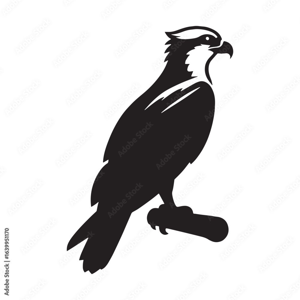 Fototapeta premium Distinct Osprey Silhouette – Osprey Vector File with clear form for creative use – Bird Illustration – silhouette of Osprey