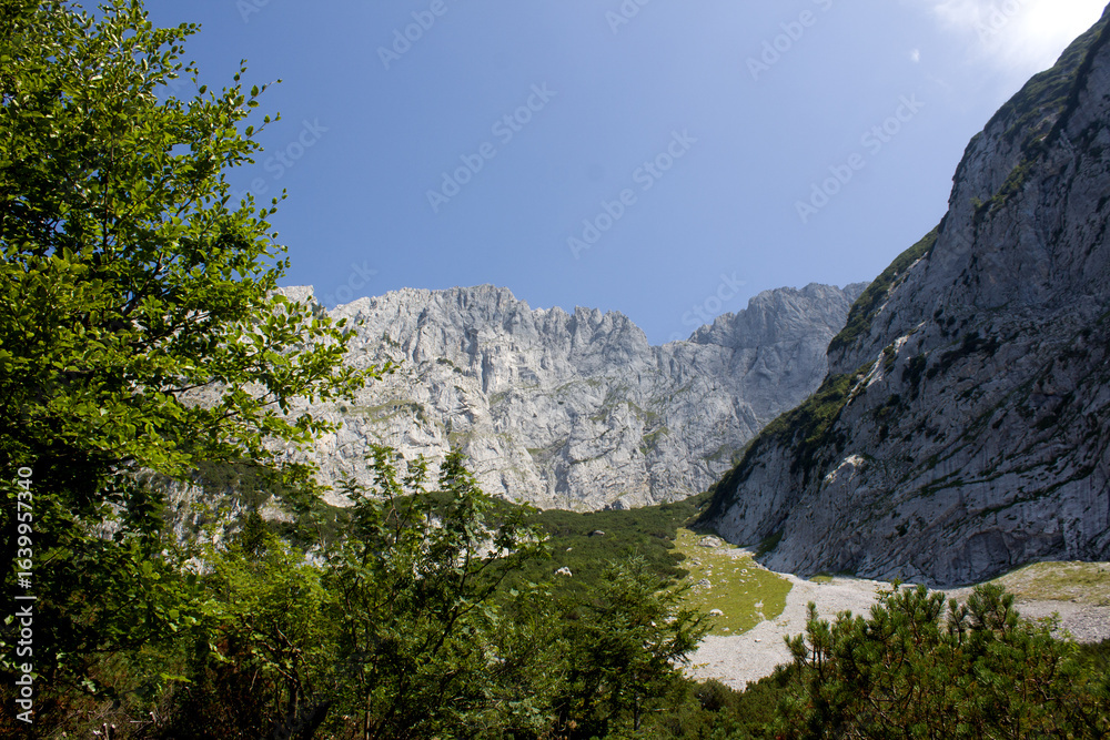 Obraz premium Majestic mountain landscape with clear blue sky and lush green foliage in a picturesque national park setting