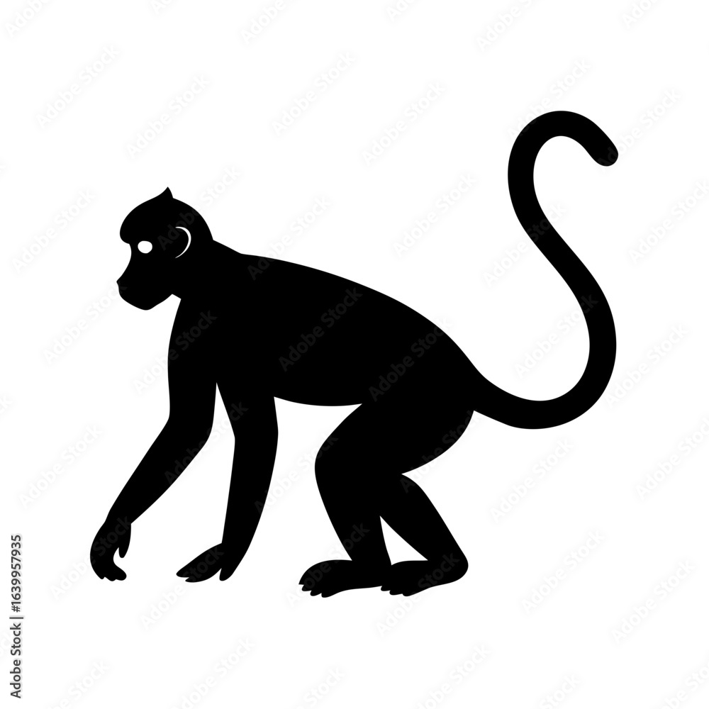 Obraz premium monkey on white background