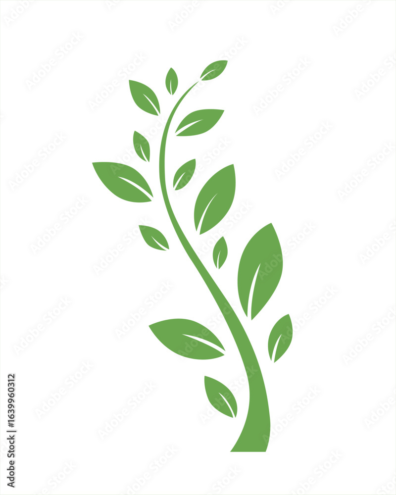 Obraz premium Elegant Green Vine: Nature-Inspired Design Element