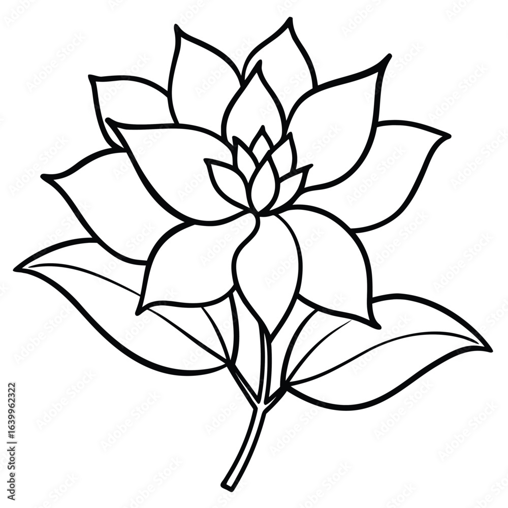 Obraz premium Detailed line drawing of a blooming flower isolated on white background
