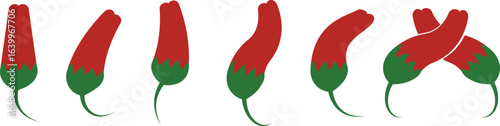Chili pepper icon set, capsicum collection hot spice vector group, jalapeno silhouette and outline, cayenne symbol bundle, vegetable pictogram pack in line style for seasoning design isolated