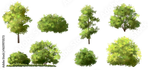  Vector watercolor green  tree or forest side view isolated on white background for landscape and architecture drawing,elements for environment or and garden,Shrub for section