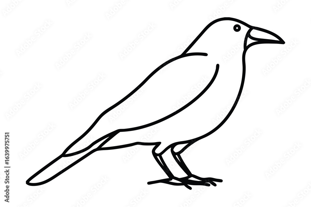 Fototapeta premium Minimalist continuous line drawing a crow standing bird animal