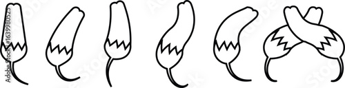 Chili pepper icon set, capsicum collection hot spice vector group, jalapeno silhouette and outline, cayenne symbol bundle, vegetable pictogram pack in line style for seasoning design isolated