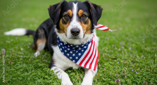 Cute dog wearing an american flag bandana lying on the green grass in summer