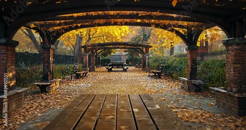 wooden bench in the park