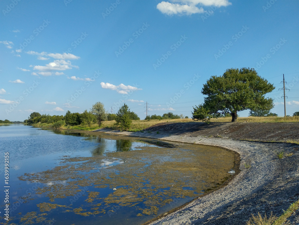 A riverbank with a concrete embankment and a large tree reflecting in the water. The sky is dotted with light white clouds, creating a sense of calm. A riverbank with a concrete embankment and a large tree reflecting in the water. The sky is dotted with light white clouds, creating a sense of calm.