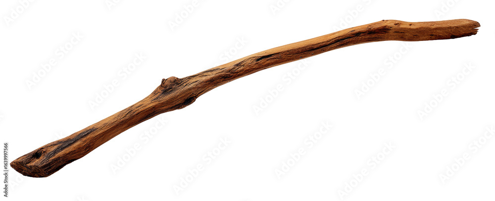 Obraz premium Long, curved wooden branch
