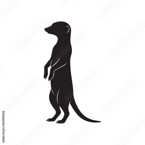 
Black and white meerkat standing silhouette