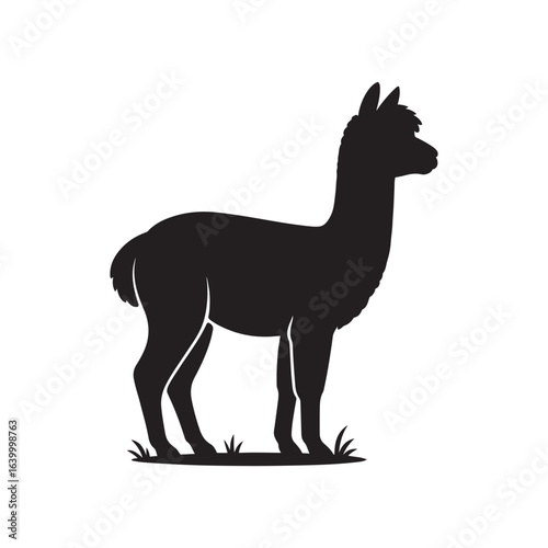 
Black and white llama or alpaca silhouette