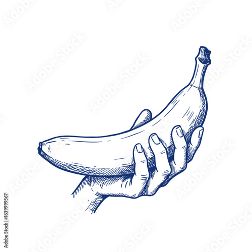 Blue ballpoint pen doodle banana in hand, hand-drawn sketch isolated on white vector illustration


