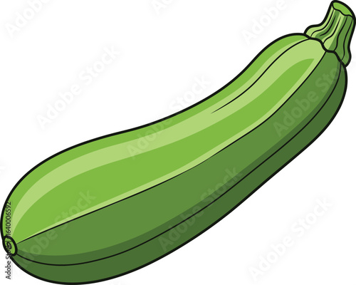 Fresh zucchini illustration for healthy recipes