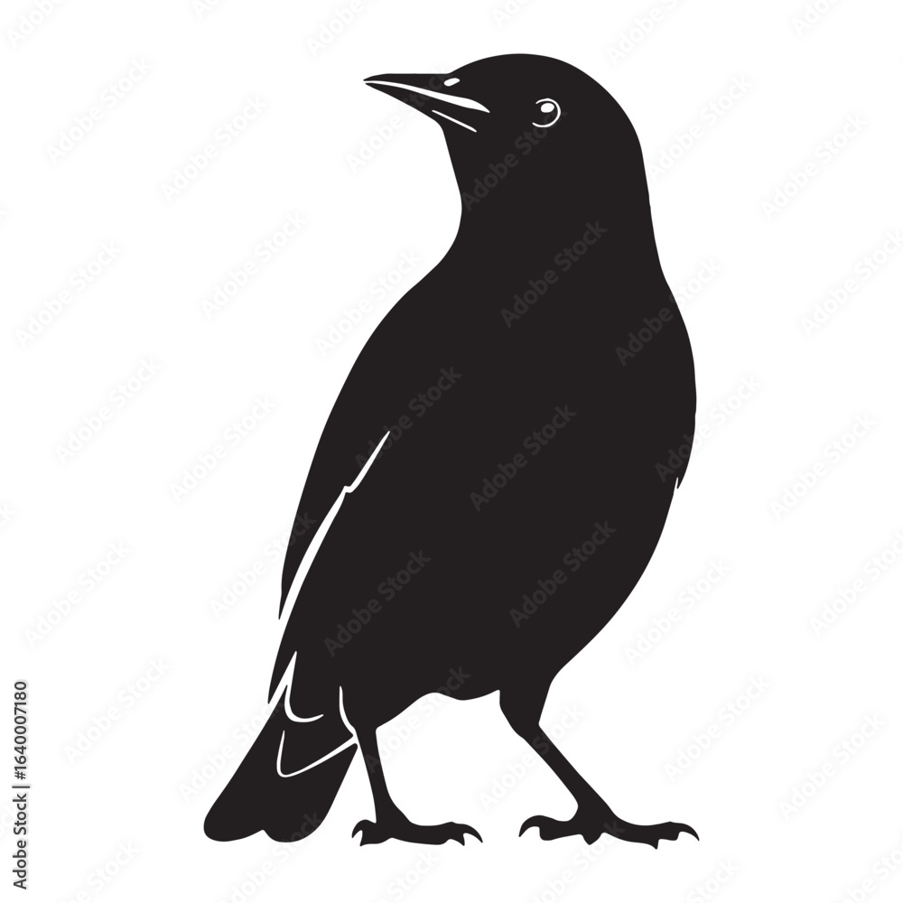 Fototapeta premium Graceful Starling Silhouette – Starling Vector Artwork for Professional Use – Starling Illustration – Bird Silhouette – Silhouette of Starling