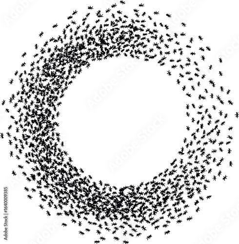 Swarm of birds forming circle