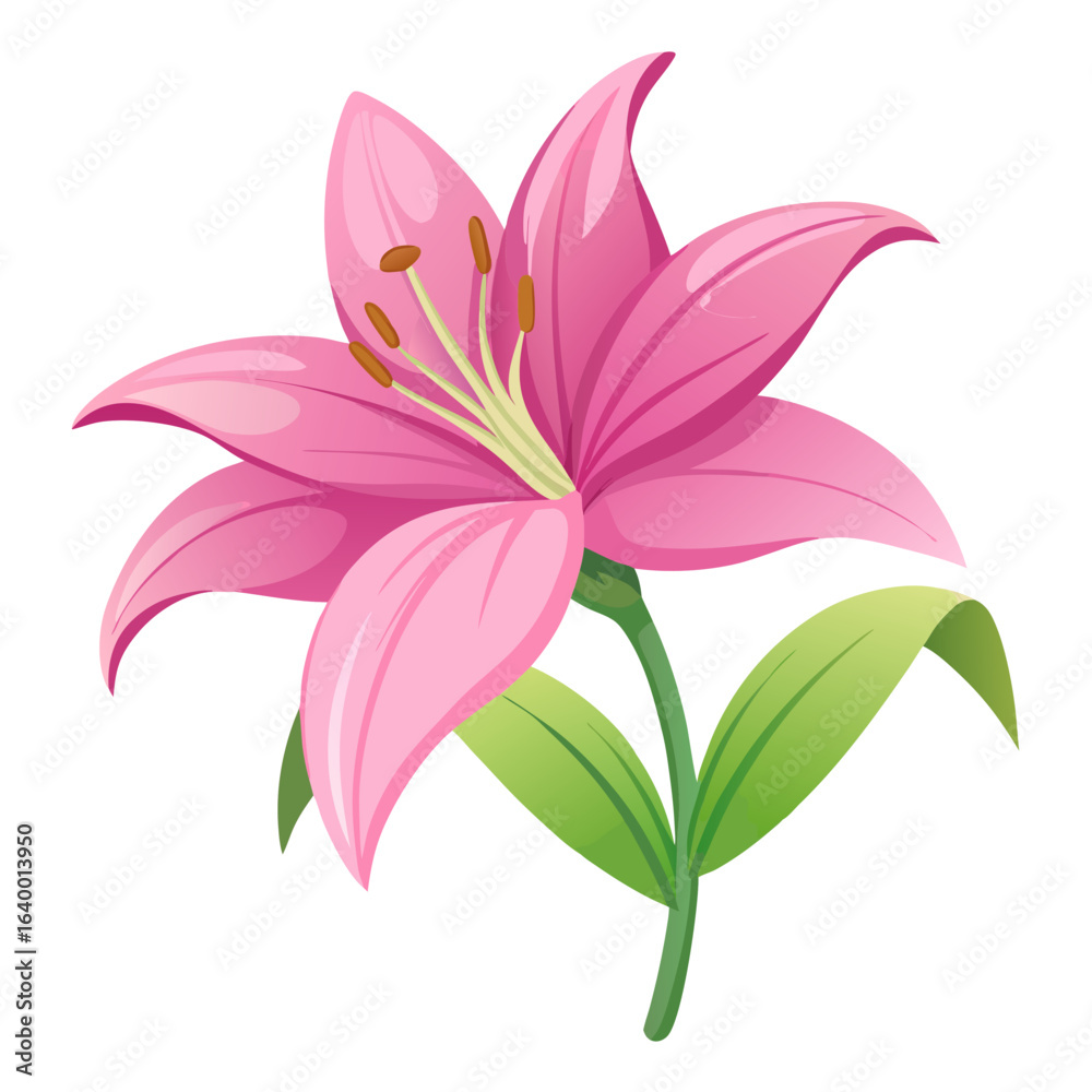 Fototapeta premium pink lily flowers