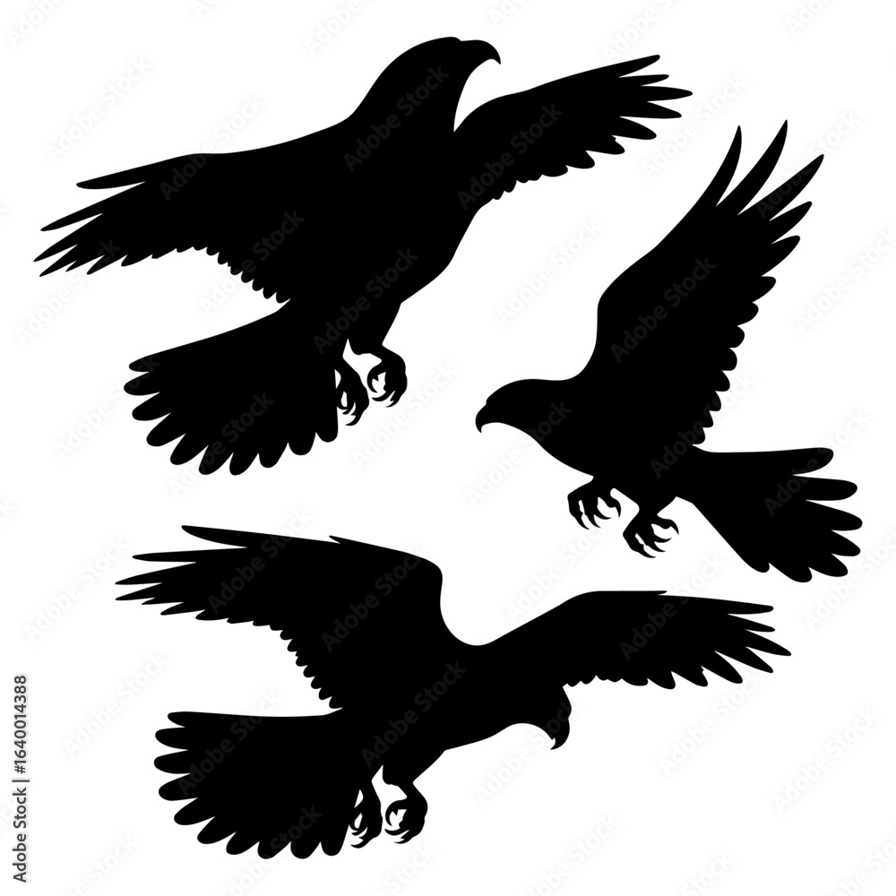 Obraz premium eagles silhouette Vector Logo