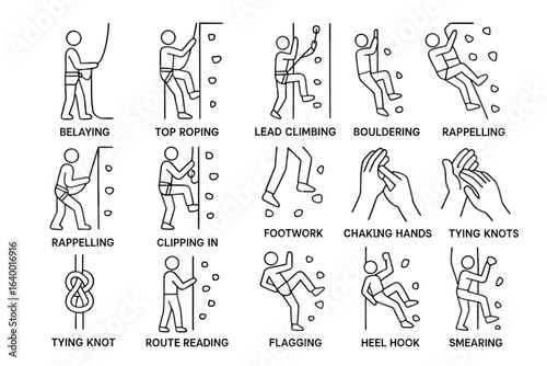 Climbing techniques: belaying, top roping, lead climbing, bouldering, rappelling