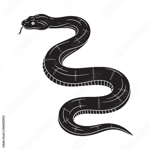 Predatory Anaconda Silhouette – Anaconda Vector Template for Nature Graphics – Snake Silhouette – Silhouette of Anaconda

