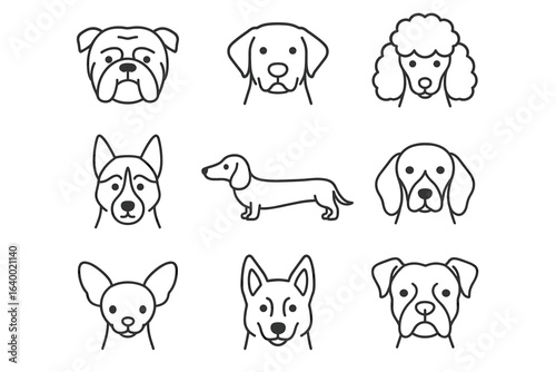 Set of nine dog breeds line art illustration