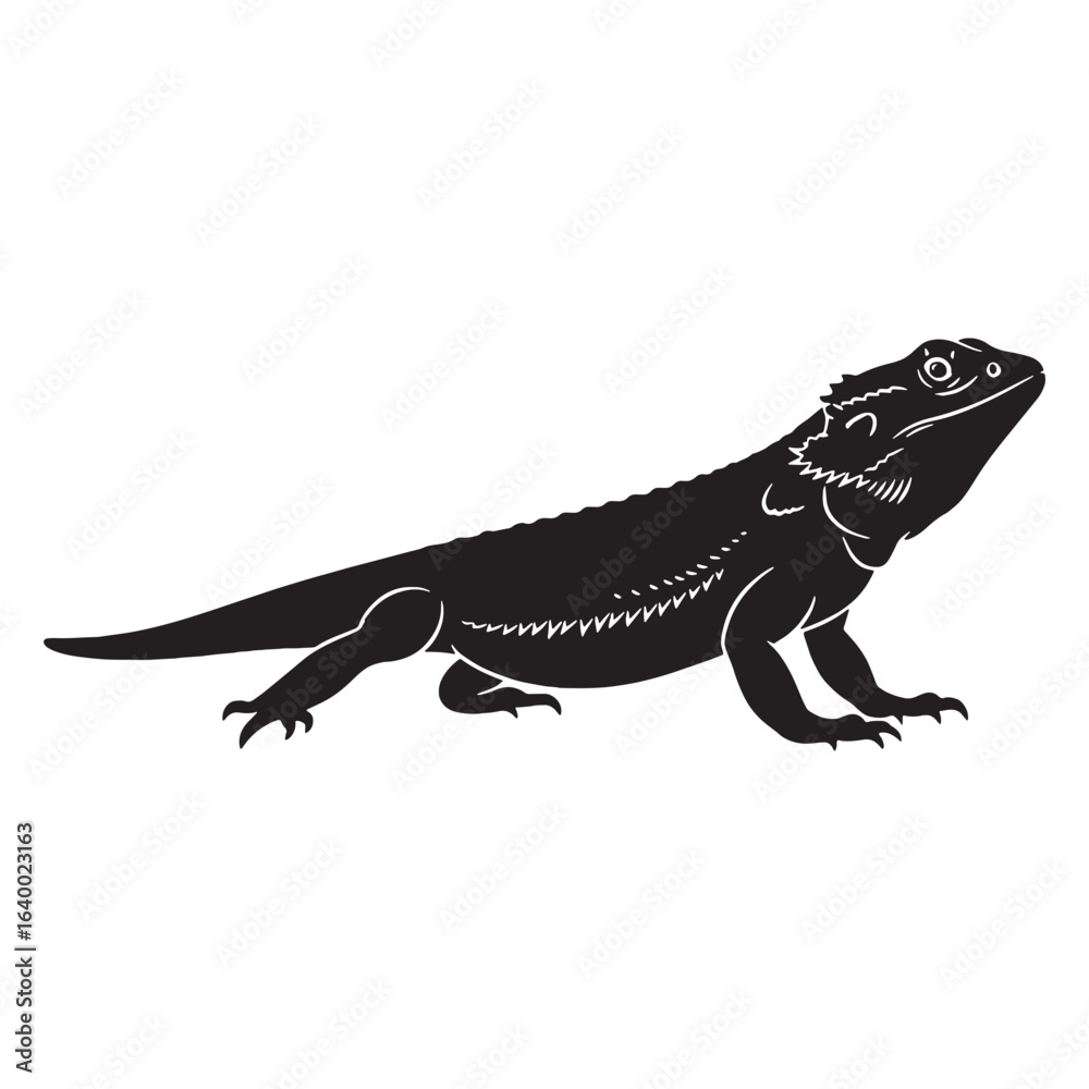 Fototapeta premium Refined Bearded Dragon Silhouette – Bearded Dragon Vector Artwork Showing Unique Beard Display – Reptile Vector – Silhouette of Bearded Dragon