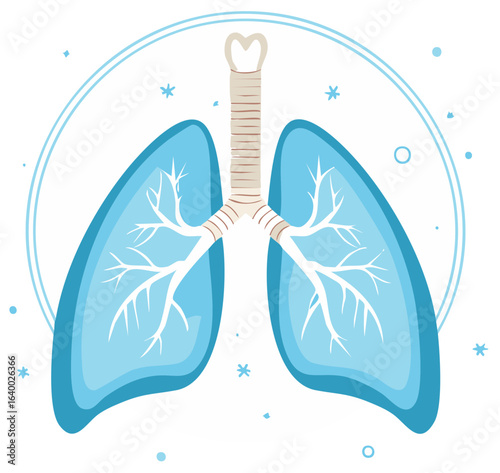 Stylized Blue Lungs and Trachea Illustration with Decorative Circles and Stars