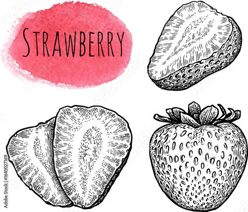 Strawberry ink sketch