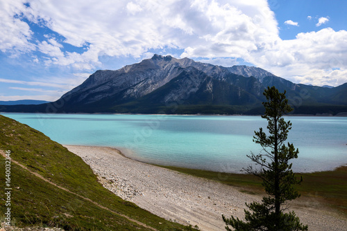 Photos Beautiful view of Abraham lake and Mount Michener in Alberta, Canada
