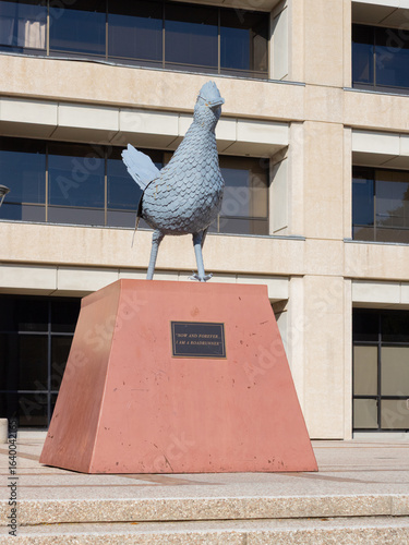 Photograph of the Rowdy Roadrunner statue at the University of Texas at San Antonio, a bronze campus landmark that embodies school pride, tradition, and community spirit.