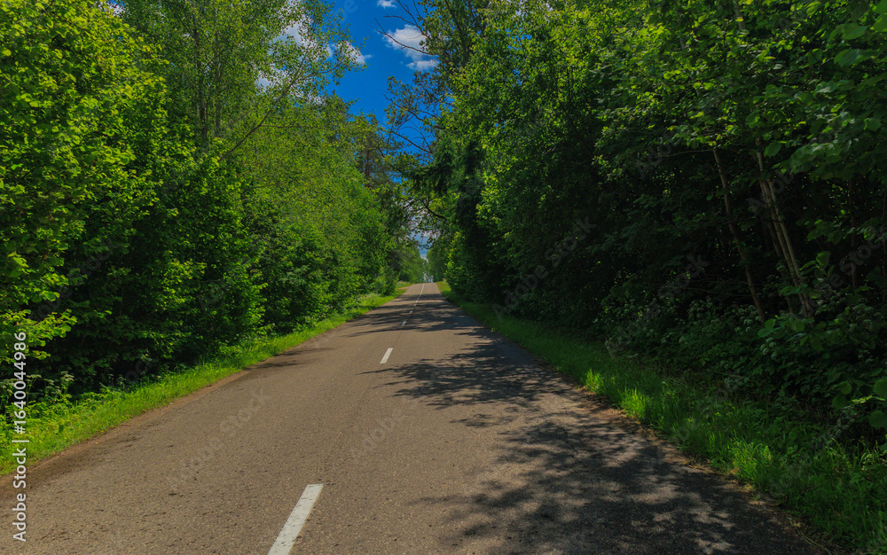 Fototapeta premium Road view on a summer day. Highways and bridge, roadside and white road line markings.