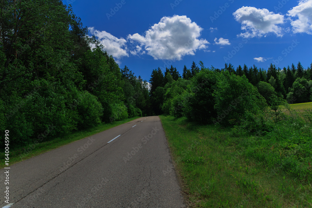Fototapeta premium Road view on a summer day. Highways and bridge, roadside and white road line markings.