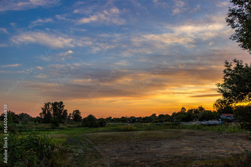 Fototapeta premium contours of trees on the background of the evening sky, orange-blue sunset, clouds, colored light, countryside, village, summer, garden, vegetable garden,