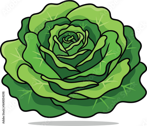 Vibrant green lettuce head for fresh food designs