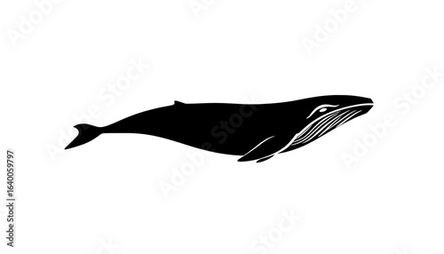 stylized black and white illustration of a humpback whale swimming