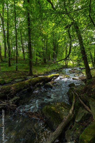 Romantischer Flusslauf