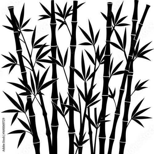 Black silhouette of bamboo stalks and leaves on white background