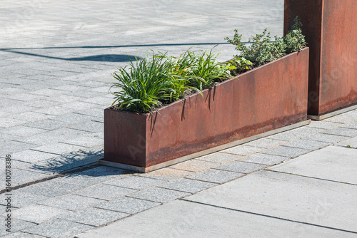 Modern Corten Steel Planter with Green Plants on Urban Pavement