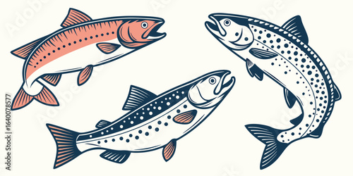 Vector Fishing and Outdoor Adventure