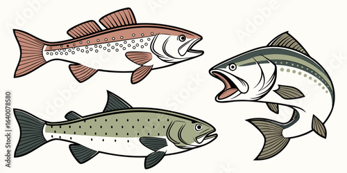 Vector Fishing and Outdoor Adventure