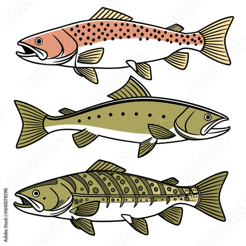 Vector Fishing and Outdoor Adventure
