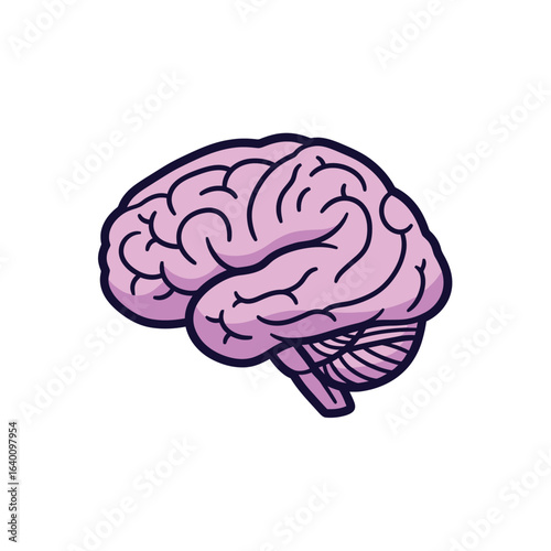 A stylized illustration of a human brain, showcasing its intricate folds and lobes in a simplified, cartoonish style.