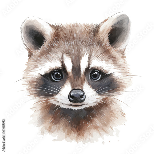 Raccoon, watercolor illustration vector, isolated on a white background.