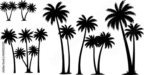 palm or coconut trees vector collection eps. concept of holiday, nature, relaxation, peace, luxury, elegance, tour etc. vector design element.