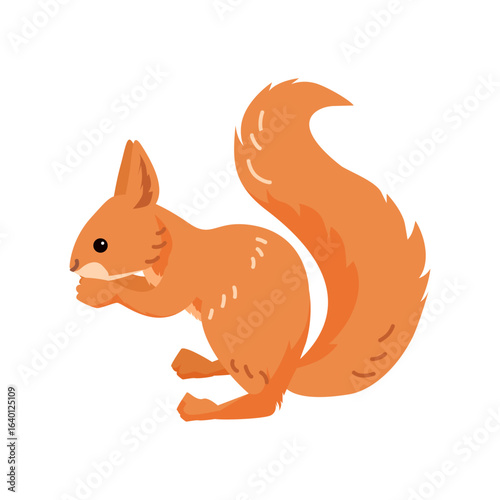 Cute red squirrel with bushy tail eating nut forest wildlife animal cartoon style isolated on white playful woodland rodent character autumn nature kids design mascot friendly fauna tiny flat style