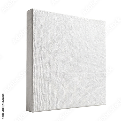 Blank, white, rectangular canvas