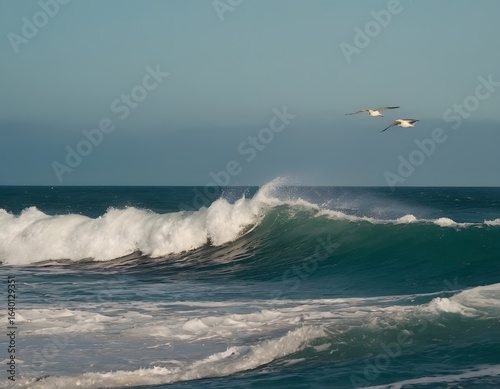 seagulls on the beach, Flock of seagulls flying over choppy ocean waves birds, evening ocean view background