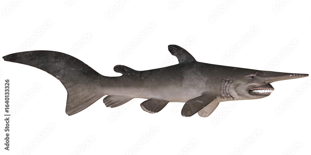 Obraz premium Realistic model of a goblin shark on white background.