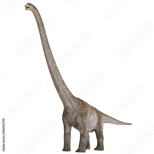 Photos Giraffatitan dinosaur with a long neck on a white background