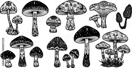 mushrooms silhouette monochrome with patterns illustration set. Trendy mushroom creative fabulous mystic folklore collection