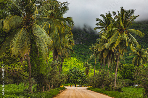 beautiful landscape of salalah oman during a khareef season.